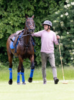 Polo action, June 12 Goal, Cirencester Park