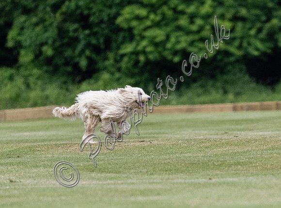 Tyro Cup Final, 2022, Cirencester Park Polo Club