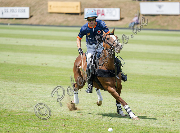 olo action, 2025 Gold Cup, Cowdray Park Polo Club