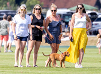 Treading in at polo match