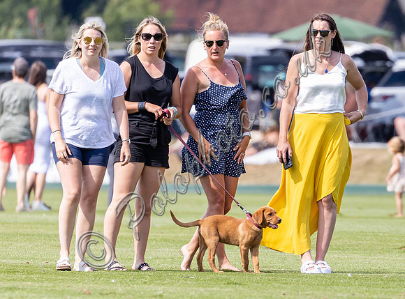 Treading in at polo match