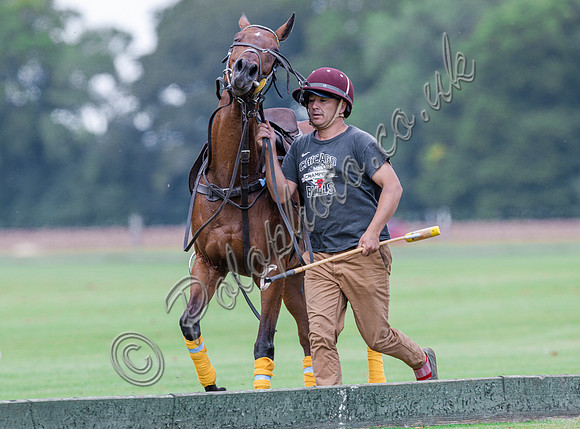 Polo action, The Neil Hague Cup, Cirencester Park
