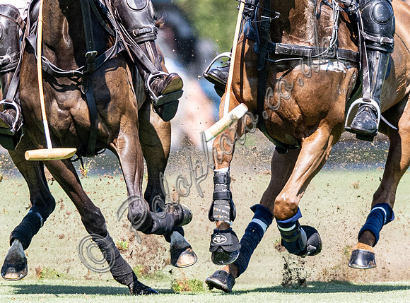 Polo action, 2025 Gold Cup quarter finals, Cowdray Park Polo Club