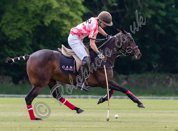 Polo action, Gerald Balding Cup 2022, Cirencester Park