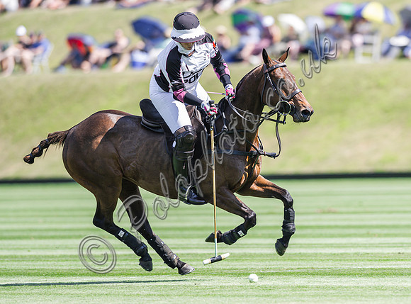 Polo action, 2025 Gold Cup quarter finals, Cowdray Park Polo Club