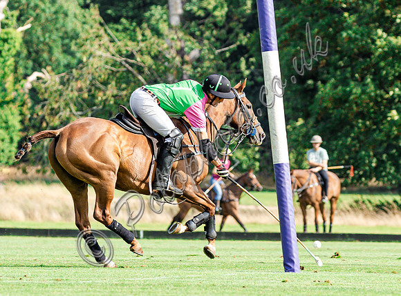 Polo action and presentation of the Syreford Plate NPM subsidiary at Cirencester Park