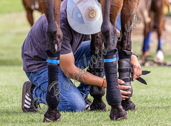 Polo action, 2024 Gold Cup, Cowdray Park Polo Club