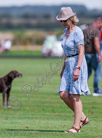 Treading in the divots at polo