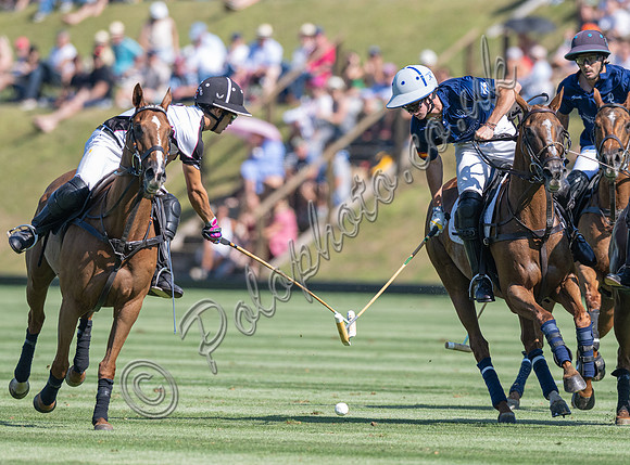 Polo action, 2025 Gold Cup quarter finals, Cowdray Park Polo Club