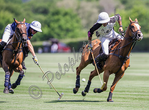 Polo action, 2025 Gold Cup quarter finals, Cowdray Park Polo Club