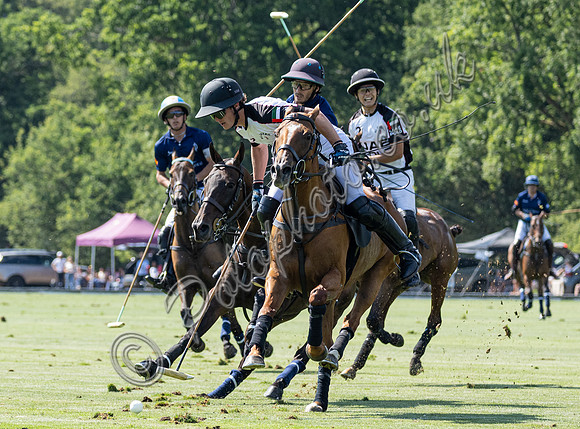 Polo action, 2025 Gold Cup quarter finals, Cowdray Park Polo Club