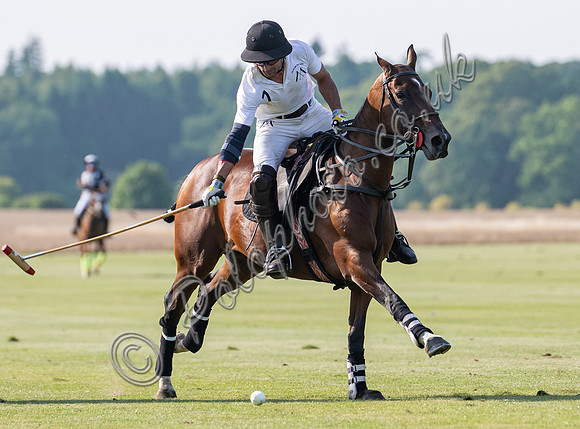 Polo action, County Cup 2025 league match, Cirencester Park