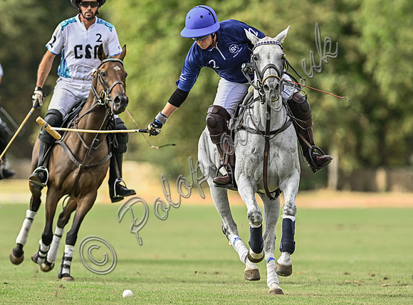 Polo action, Wichenford Bowl 2025 semi-final match, Beaufort Polo Club