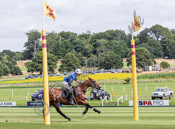Polo action, Holden White Final 2024, Cowdray Park Polo Club