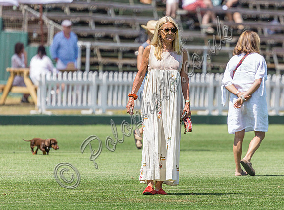 polo action Gold Cup quarter finals 2022, Cowdray Park Polo Club