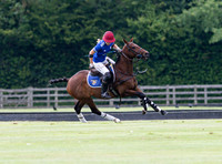 Vitrix Lodorum Ladies @@ Goal, Semper Anticus v King Power