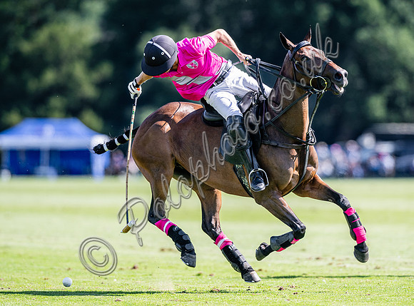 Polo action and presentation - 2024 Gold Cup, Cowdray Park Polo Club