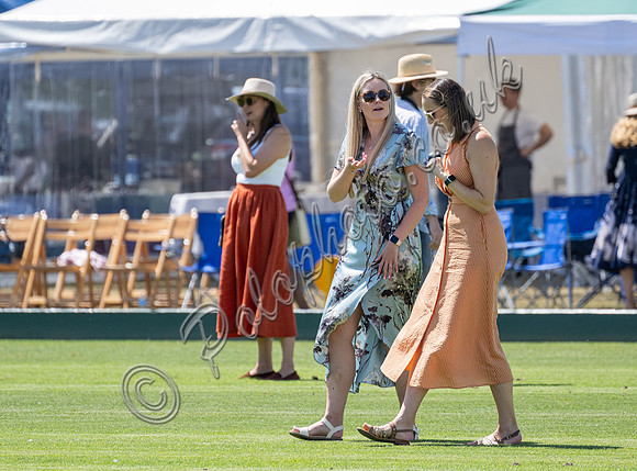 Polo action, 2025 Gold Cup semi final, Cowdray Park Polo Club