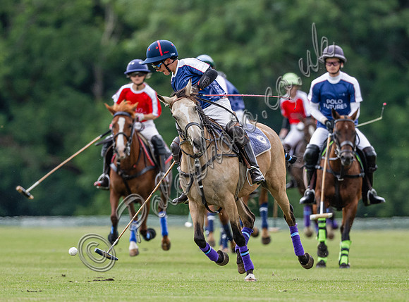 Z9A_3851
