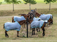 2022 Ladies 16 goal Final at Black Bears Polo Club