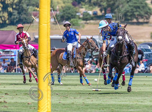 polo action Gold Cup quarter finals 2022, Cowdray Park Polo Club