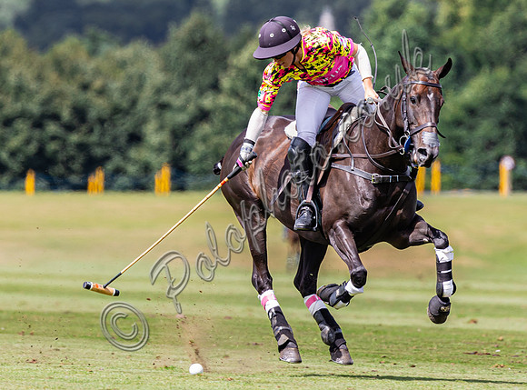 Polo action, The Ruins Cup (Holden White) 2024, Cowdray Park Polo Club
