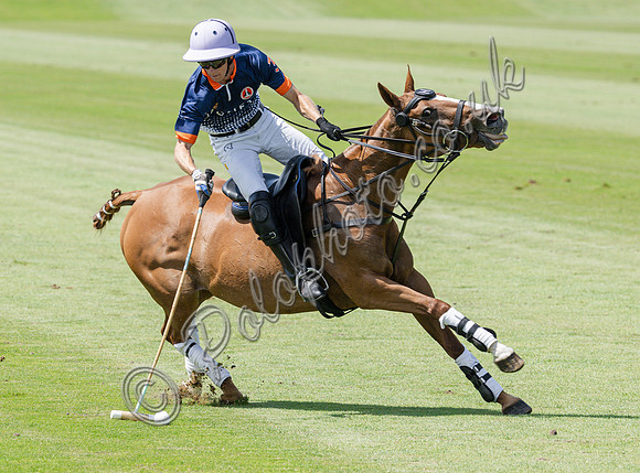 olo action, 2025 Gold Cup, Cowdray Park Polo Club