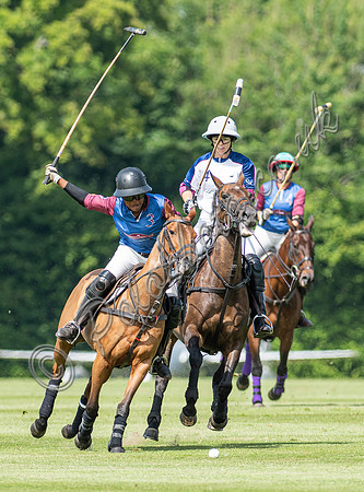 Ladies 16 Goal series