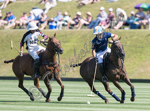 Polo action, 2025 Gold Cup quarter finals, Cowdray Park Polo Club