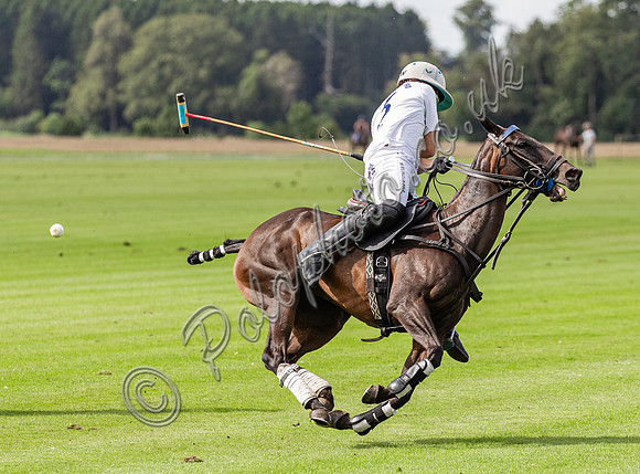 Polo action, County Cup, Cirencester Park