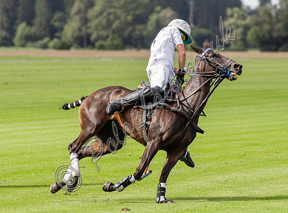 Polo action, County Cup, Cirencester Park