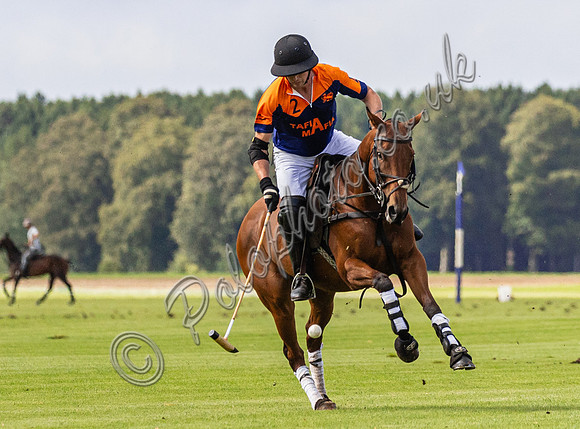 Polo action, County Cup, Cirencester Park