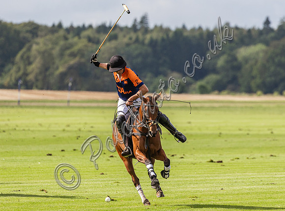 Polo action, County Cup, Cirencester Park