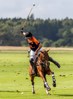 Polo action, County Cup, Cirencester Park