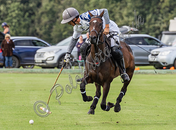 Polo action, County Cup, Cirencester Park