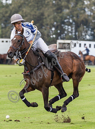 Polo action, County Cup, Cirencester Park