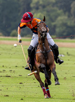 Polo action, County Cup, Cirencester Park