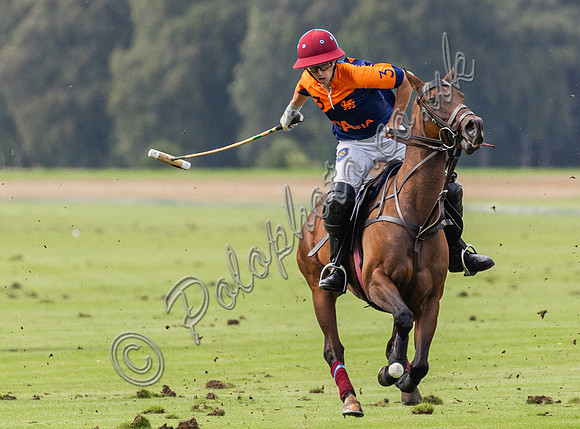 Polo action, County Cup, Cirencester Park