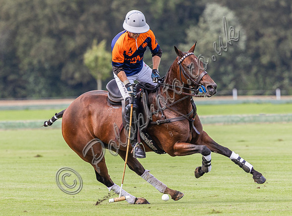 Polo action, County Cup, Cirencester Park