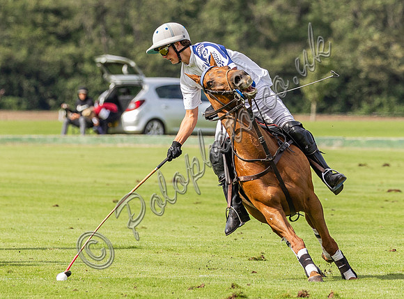 Polo action, County Cup, Cirencester Park