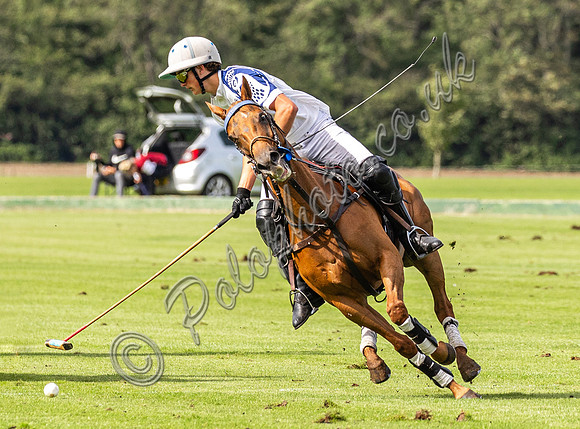 Polo action, County Cup, Cirencester Park
