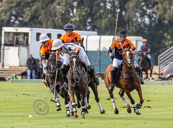 Polo action, County Cup, Cirencester Park
