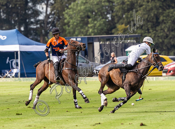 Polo action, County Cup, Cirencester Park