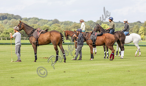 Polo action, County Cup, Cirencester Park