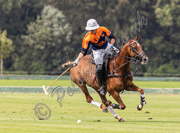 Polo action, County Cup, Cirencester Park