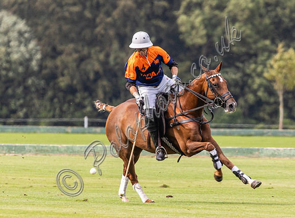 Polo action, County Cup, Cirencester Park