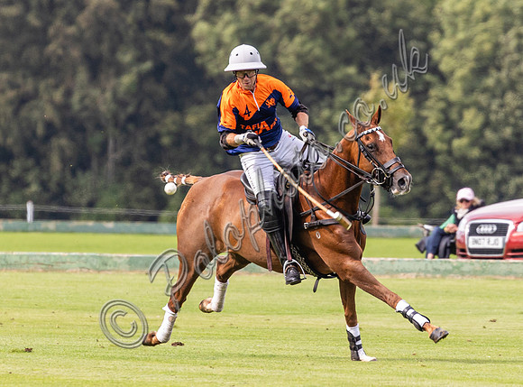 Polo action, County Cup, Cirencester Park