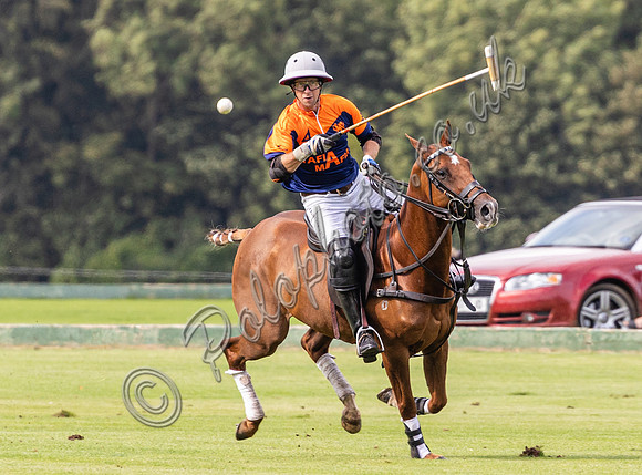 Polo action, County Cup, Cirencester Park