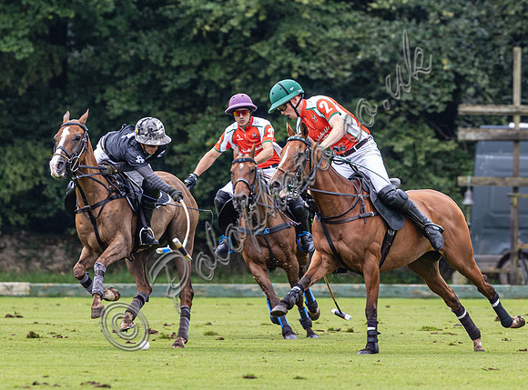 Polo action, County Cup, Cirencester Park