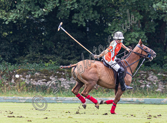 Polo action, County Cup, Cirencester Park